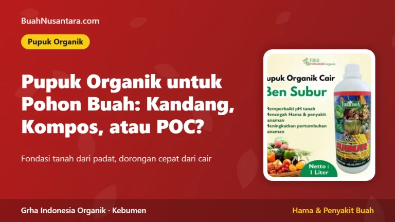 Pupuk Organik untuk Pohon Buah: Pupuk Kandang, Kompos, atau POC?