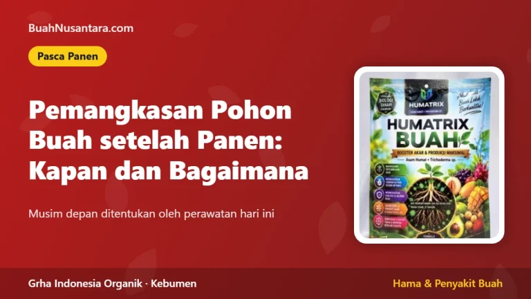 Pemangkasan Pohon Buah setelah Panen: Kapan dan Bagaimana