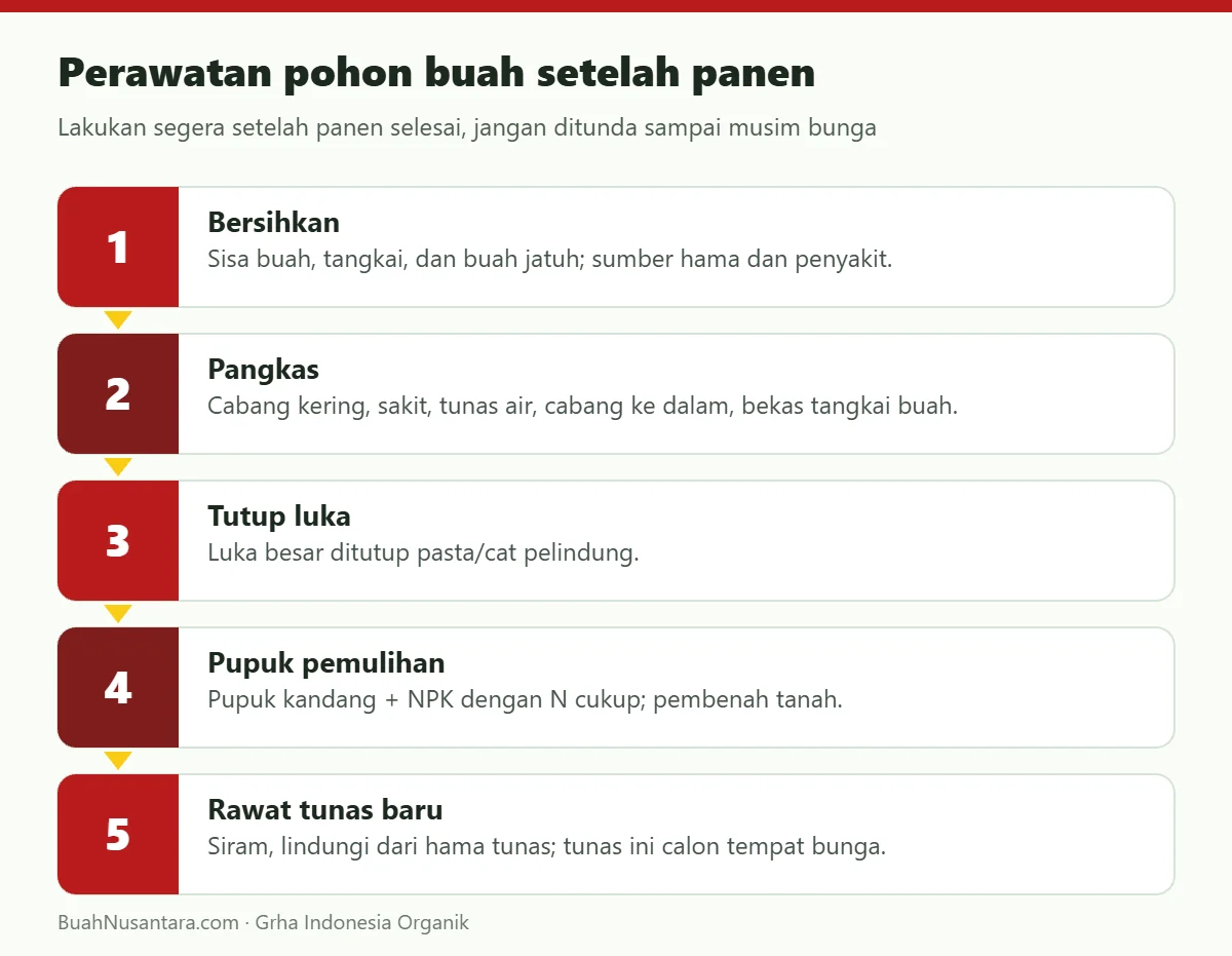 Perawatan pohon buah setelah panen