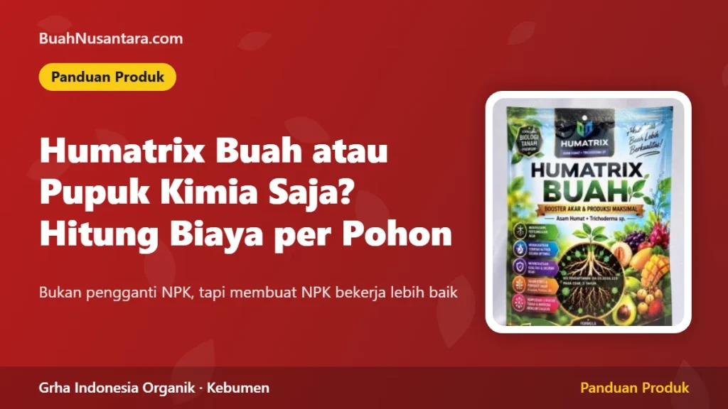 Humatrix Buah atau Pupuk Kimia Saja? Menghitung Biaya per Pohon per Musim