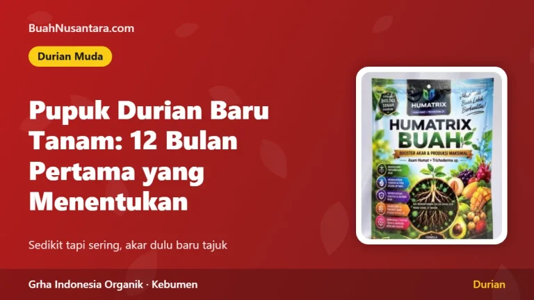 Pupuk Durian Baru Tanam: 12 Bulan Pertama yang Menentukan