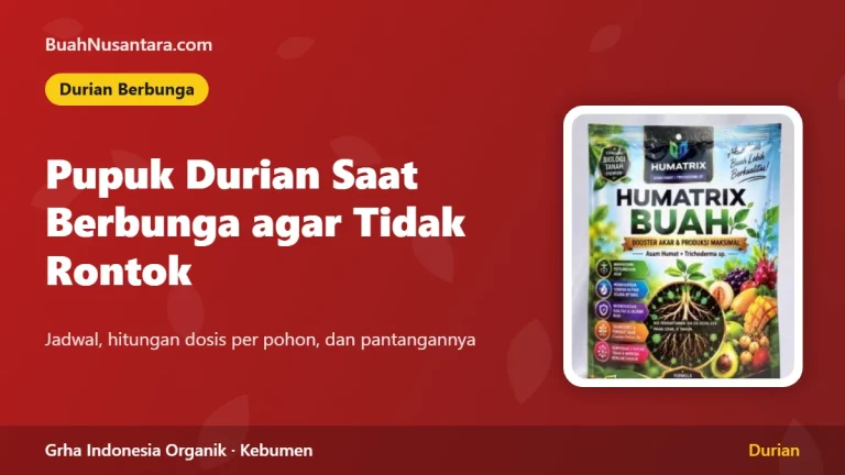 Pupuk Durian Saat Berbunga agar Tidak Rontok: Jadwal, Dosis, dan Pantangan