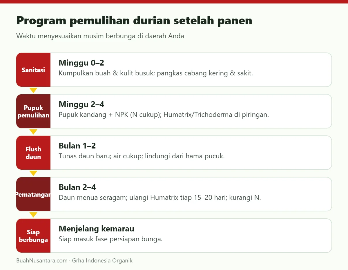 Program pemulihan durian setelah panen