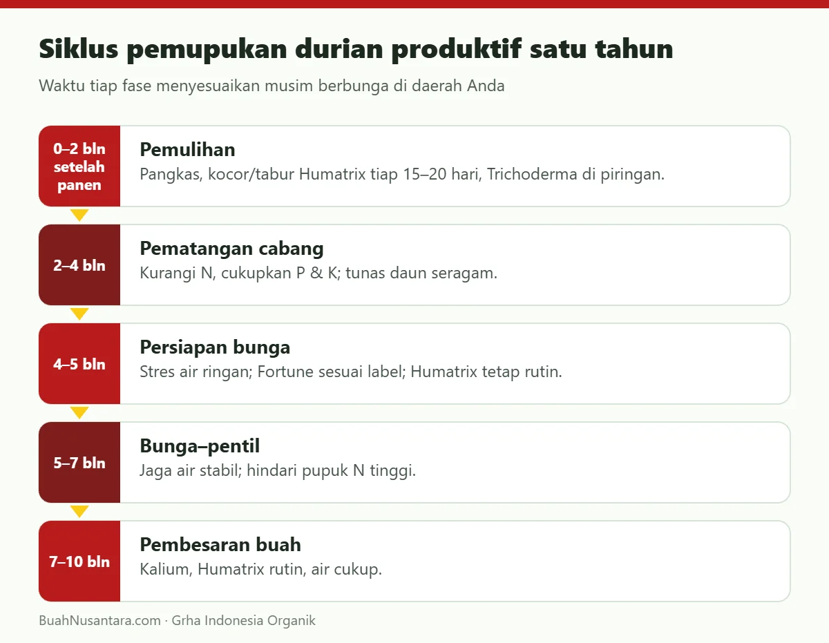 Siklus pemupukan durian produktif satu tahun