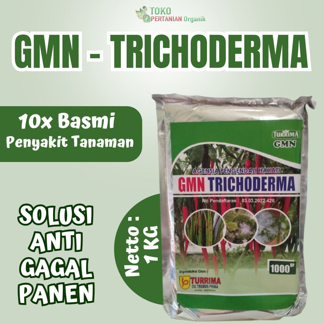 Fungisida Hayati Trichoderma, Pupuk Tricoderma atasi Layu fusarium