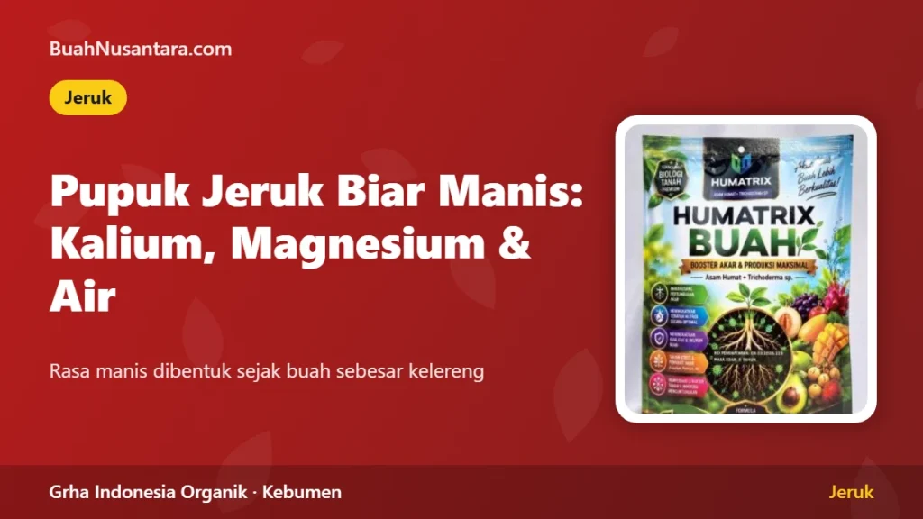 Pupuk Jeruk Biar Manis: Kalium, Magnesium, dan Air Menjelang Panen