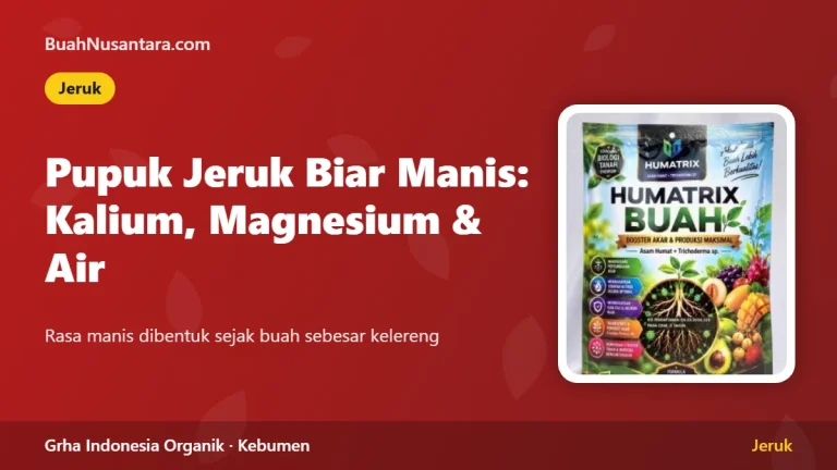 Pupuk Jeruk Biar Manis: Kalium, Magnesium, dan Air Menjelang Panen