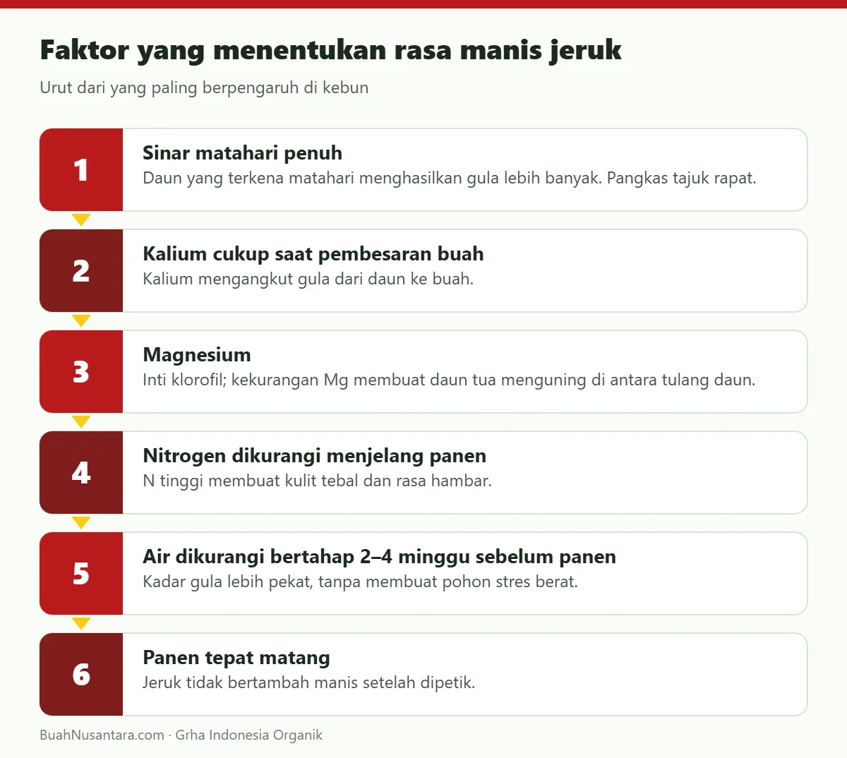 Faktor yang menentukan rasa manis jeruk