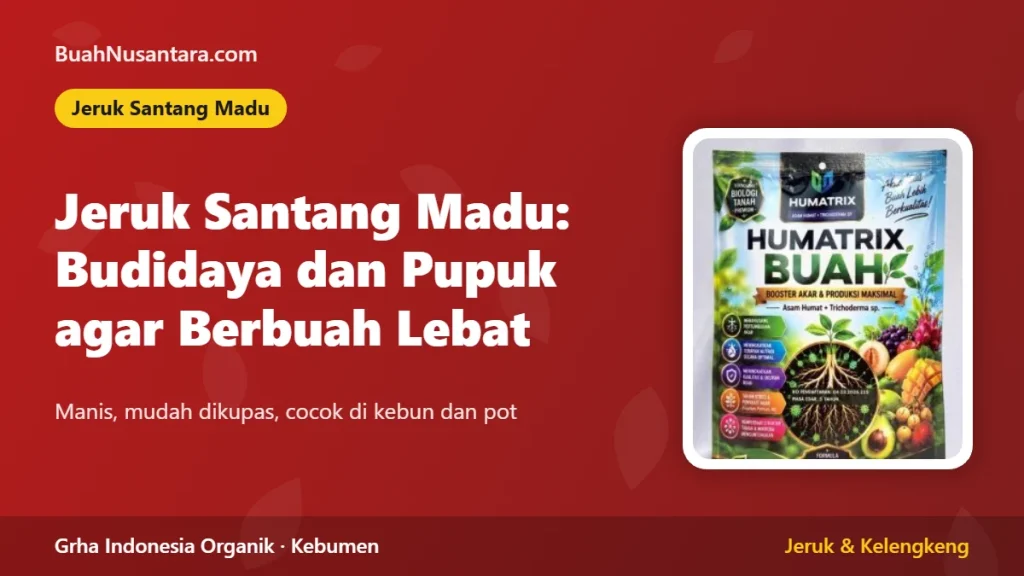Jeruk Santang Madu: Budidaya dan Pemupukan agar Berbuah Lebat