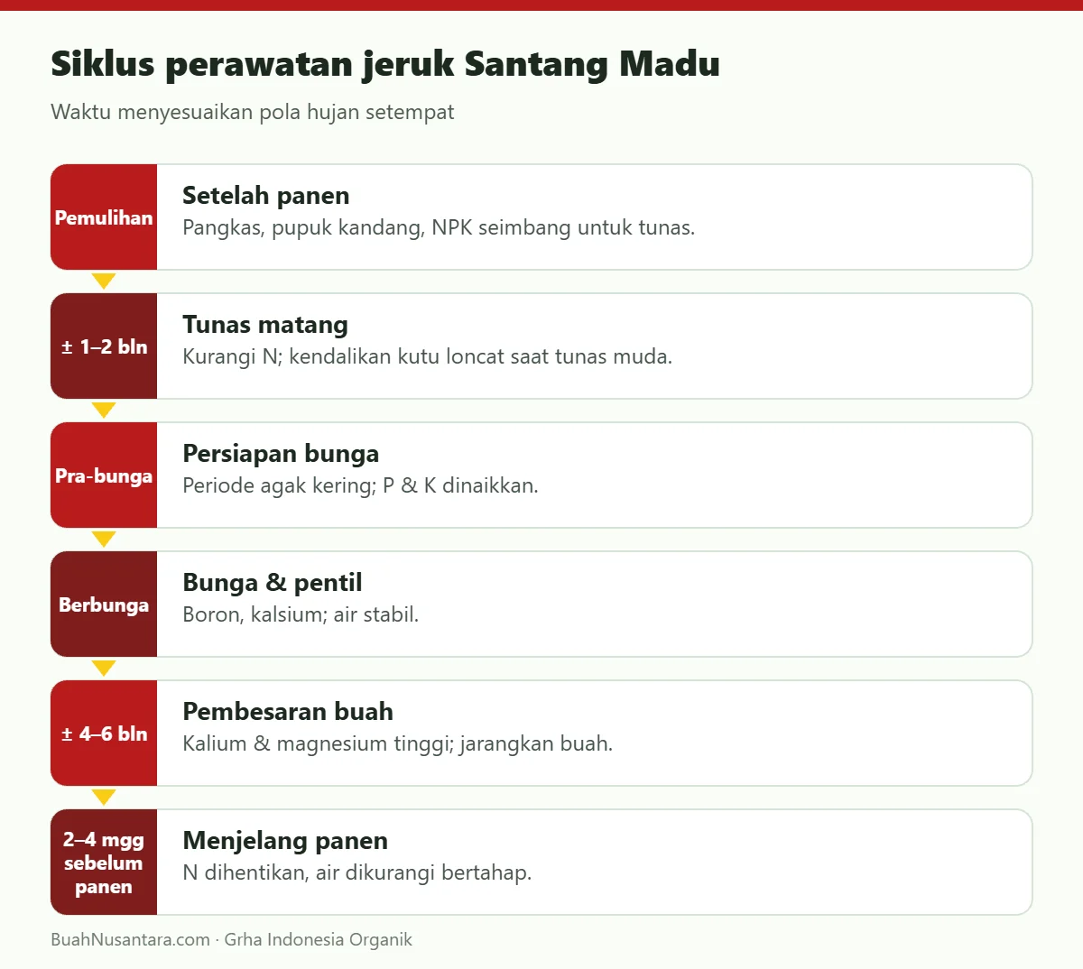 Siklus perawatan jeruk Santang Madu