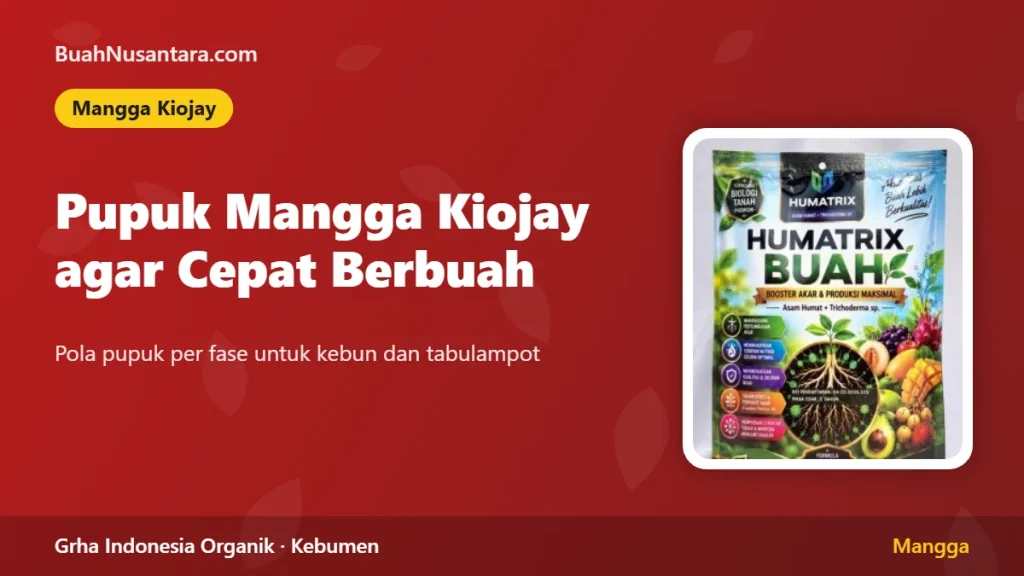 Pupuk Mangga Kiojay agar Cepat Berbuah
