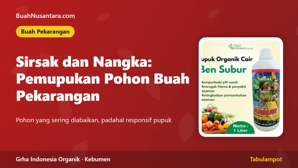 Sirsak dan Nangka: Pemupukan Pohon Buah Pekarangan
