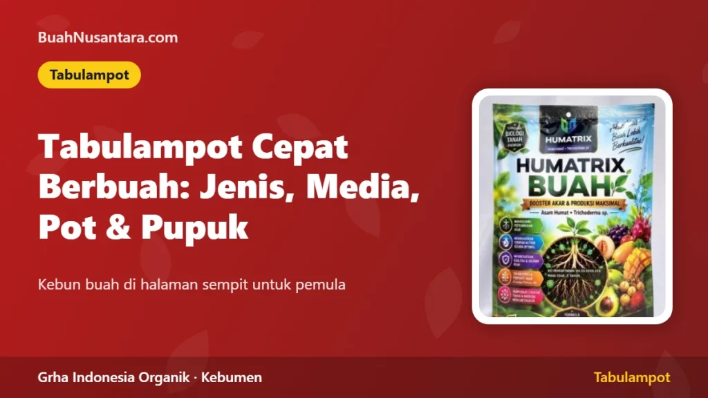 Tabulampot yang Cepat Berbuah: Pilihan Jenis, Media, Pot, dan Pemupukan