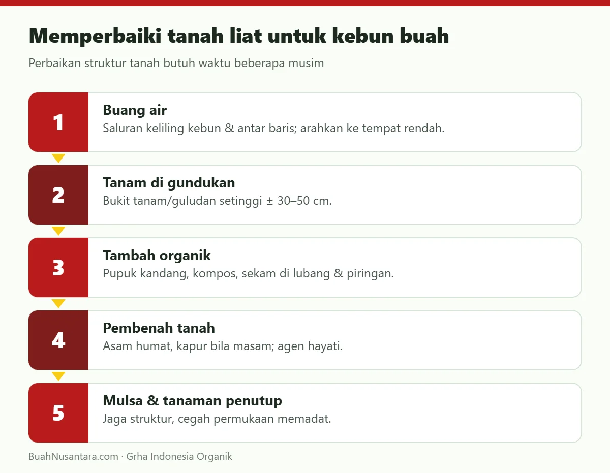 Memperbaiki tanah liat untuk kebun buah