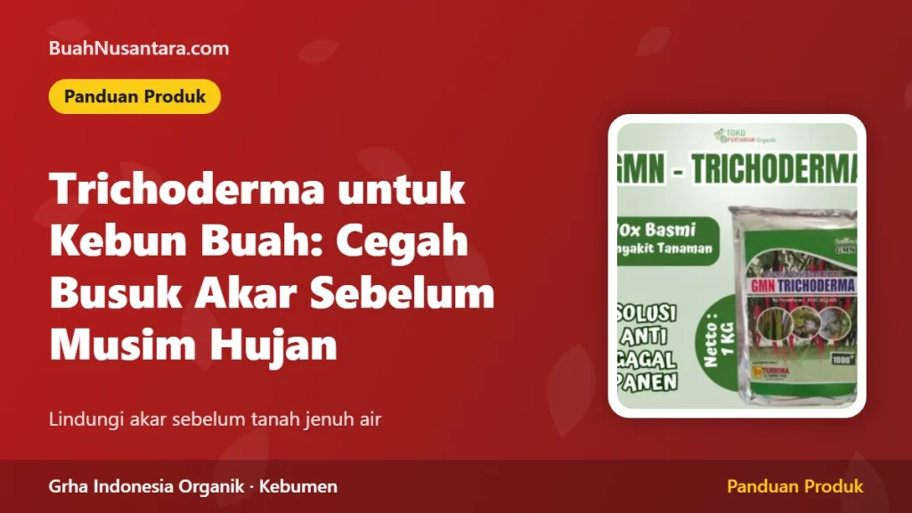 Trichoderma untuk Kebun Buah: Cegah Busuk Akar Sebelum Musim Hujan