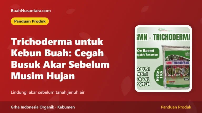 CEGAH Durian Mati Mendadak! Trichoderma untuk Kebun Buah Lindungi Akar dari Busuk Sebelum Puncak Hujan
