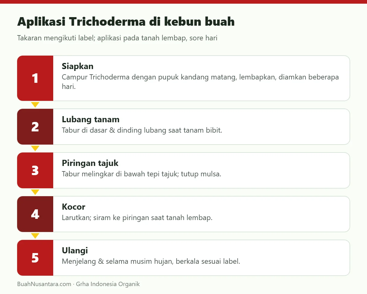 Aplikasi Trichoderma di kebun buah