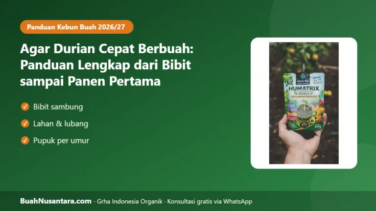 MITOS 2 Tahun Berbuah? Panduan Lengkap agar Durian Cepat Berbuah dari Bibit sampai Panen Pertama