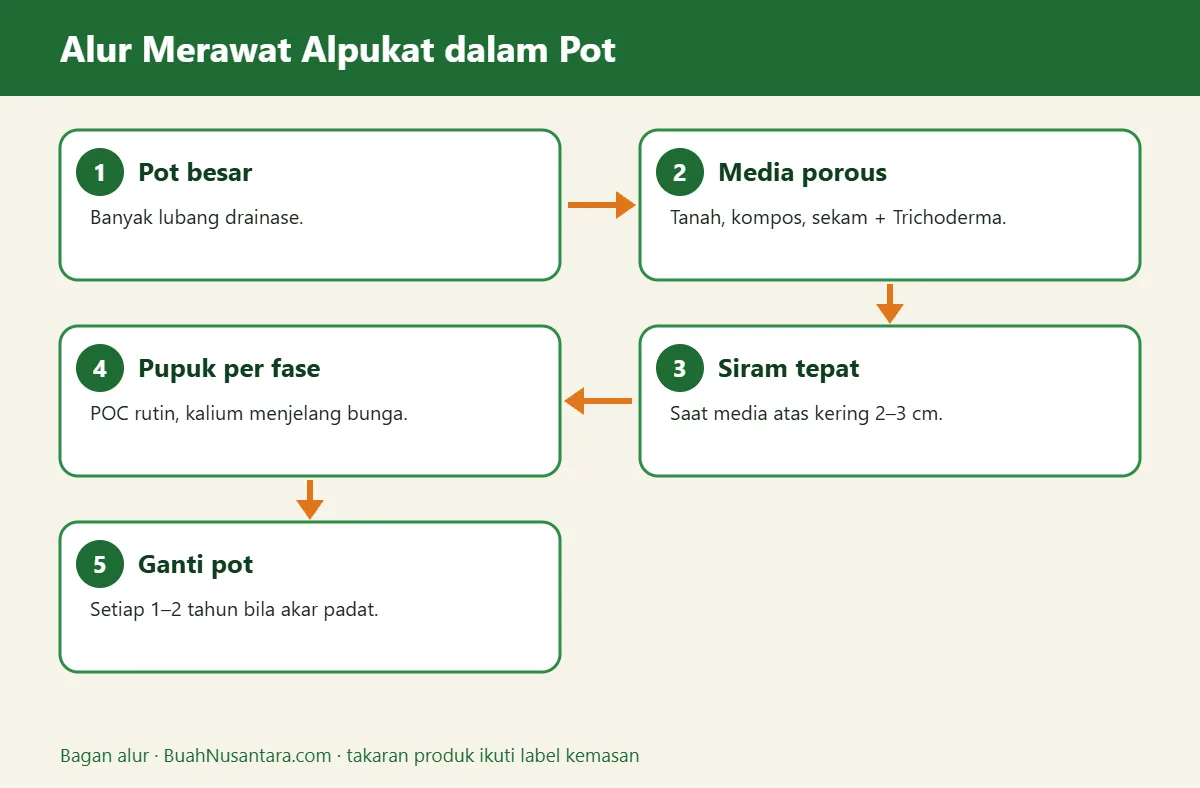 Bagan alur alpukat dalam pot