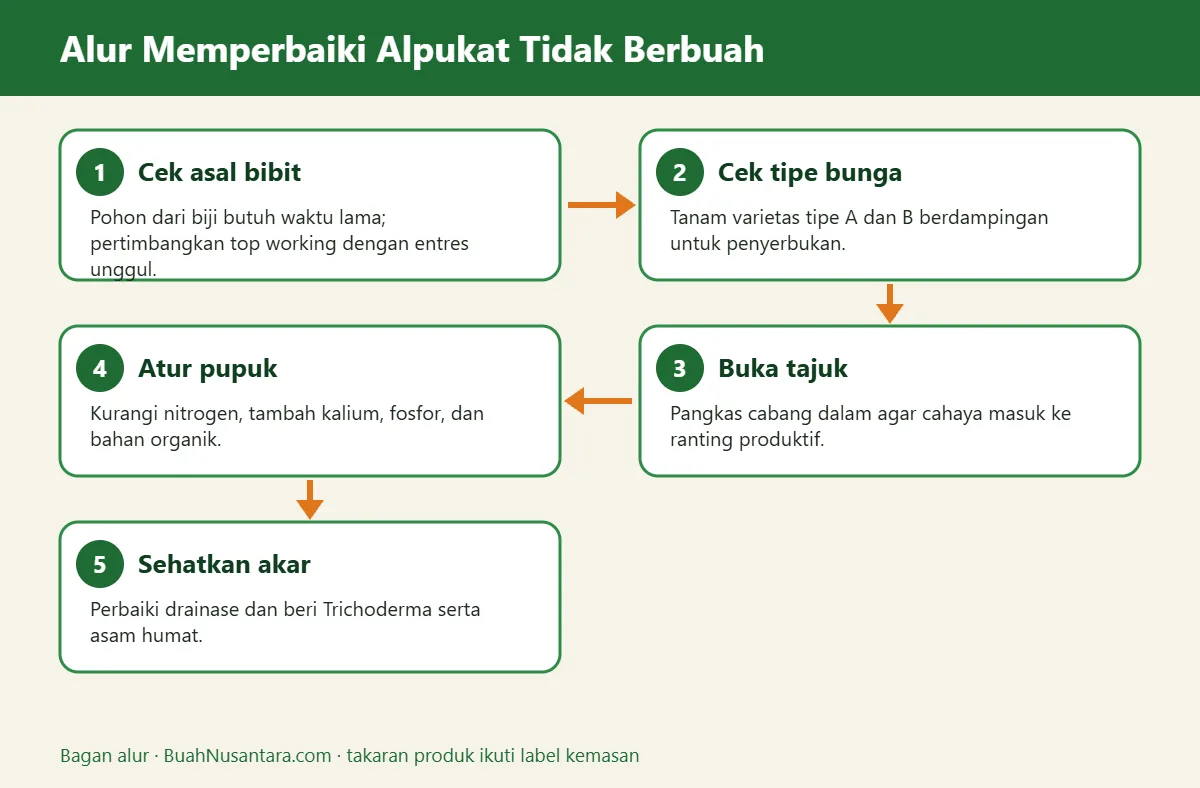 Bagan alur alpukat tidak berbuah