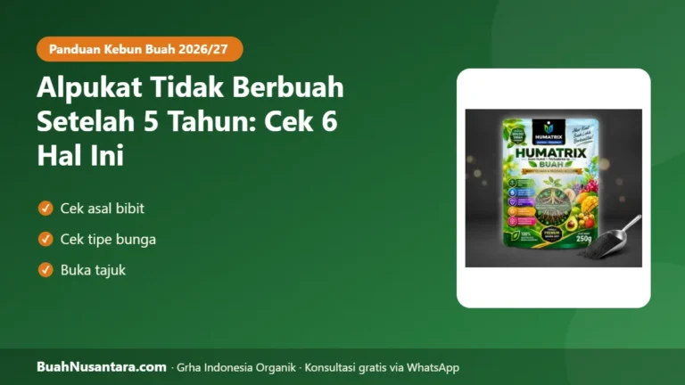 SUDAH 5 Tahun Belum Berbuah? Alpukat Mandul karena 6 Hal Ini, Cek Sebelum Ditebang