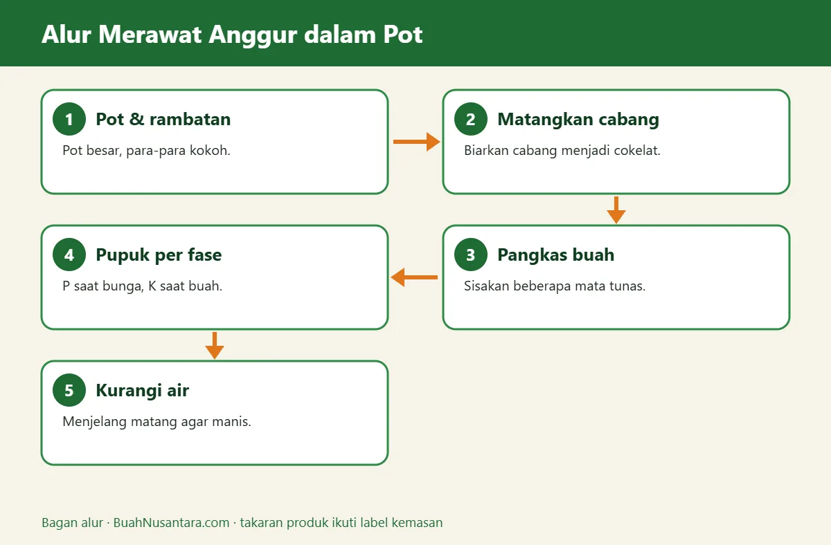 Bagan alur anggur dalam pot
