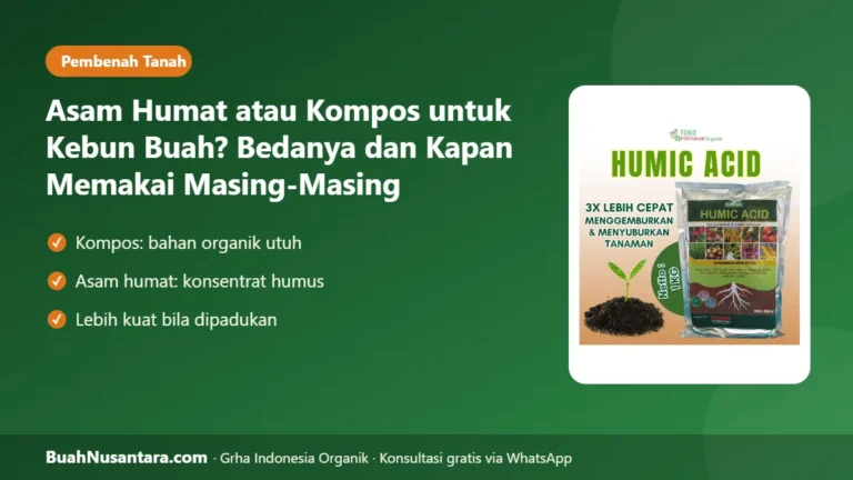 ASAM HUMAT atau KOMPOS? Bedanya untuk Kebun Buah dan Kapan Memakai Masing-Masing