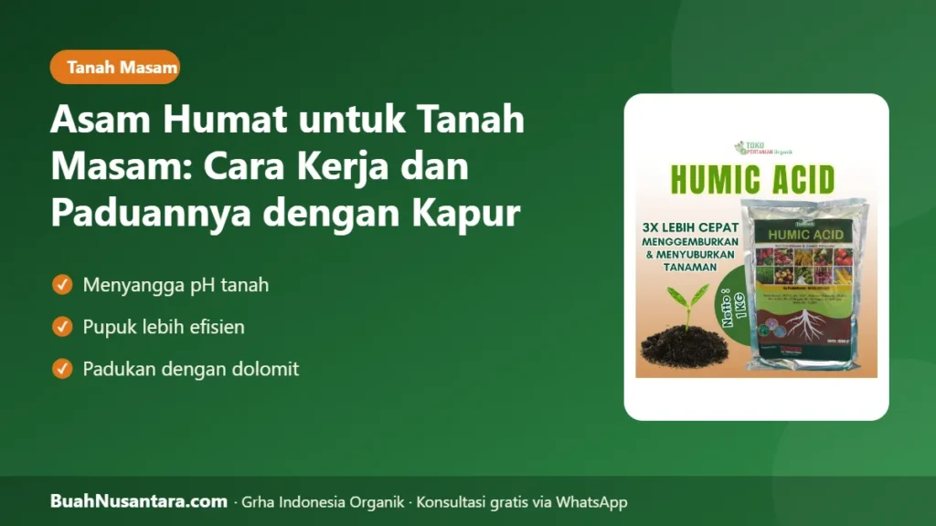 Asam humat untuk tanah masam