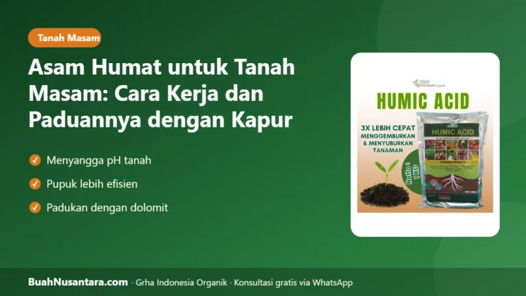 TANAH Masam Pupuk Mubazir! Asam Humat untuk Tanah Masam dan Paduannya dengan Kapur
