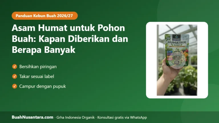 RAHASIA Akar Durian Kuat: Asam Humat untuk Pohon Buah, Kapan Diberikan dan Berapa Banyak agar Pupuk Tidak Terbuang