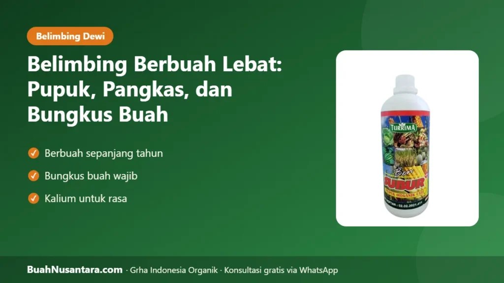 Belimbing berbuah lebat