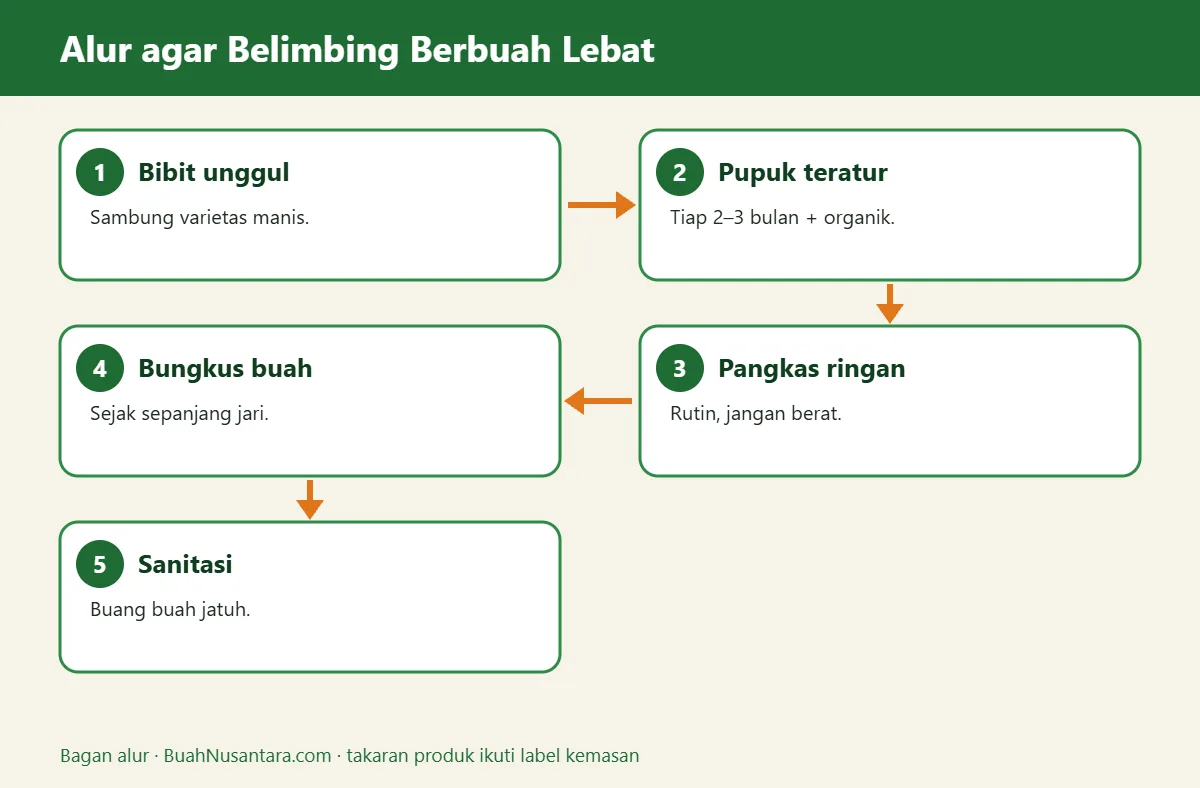 Bagan alur belimbing berbuah lebat
