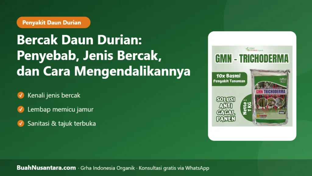 Bercak daun durian