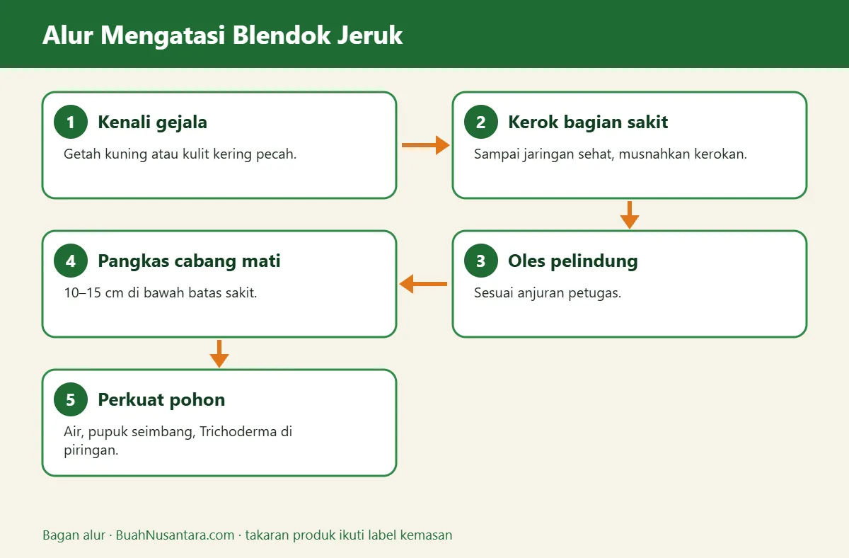 Bagan alur blendok jeruk