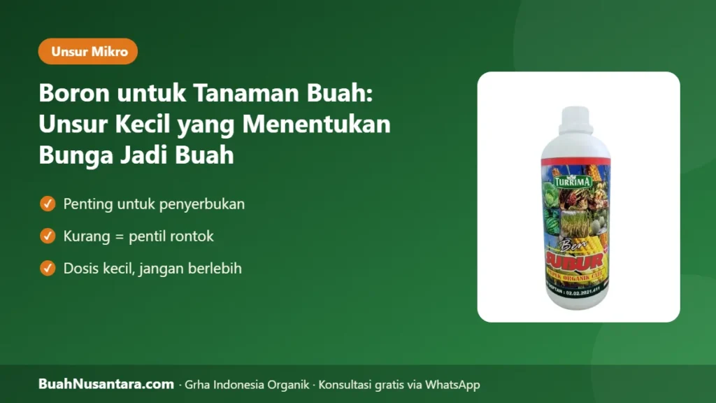 Boron untuk tanaman buah