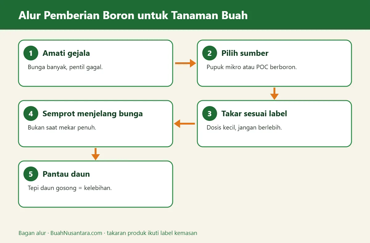 Bagan alur boron untuk tanaman buah
