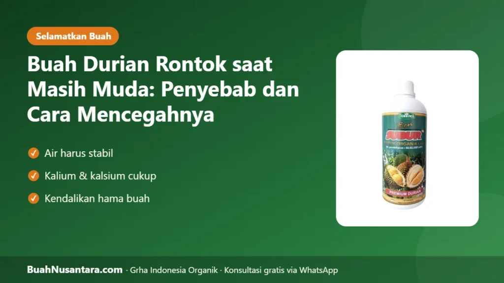 Buah durian rontok