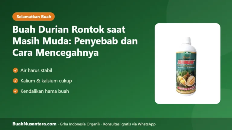 BUAH Durian Rontok Muda? Penyebab Air, Hara, dan Hama serta Cara Mencegahnya