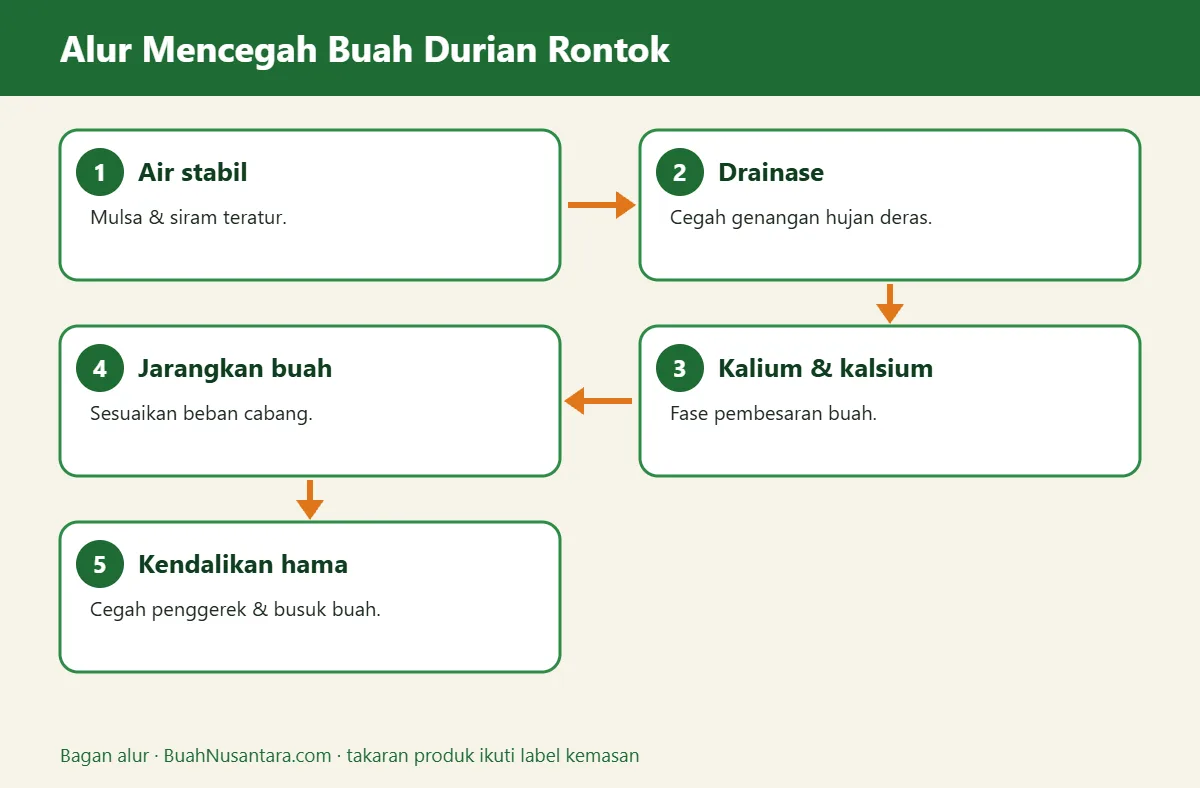Bagan alur buah durian rontok