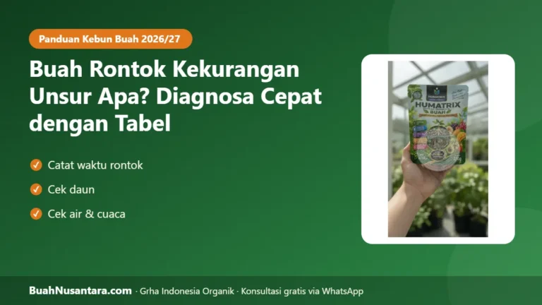BUAH Rontok Kekurangan Unsur Apa? Tabel Diagnosa Cepat 5 Menit Sebelum Salah Beli Pupuk