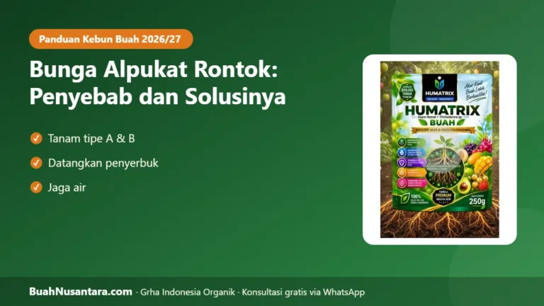 BUNGA Banyak Buah Sedikit? Bunga Alpukat Rontok karena Ini, Solusi Praktis agar Buah Jadi