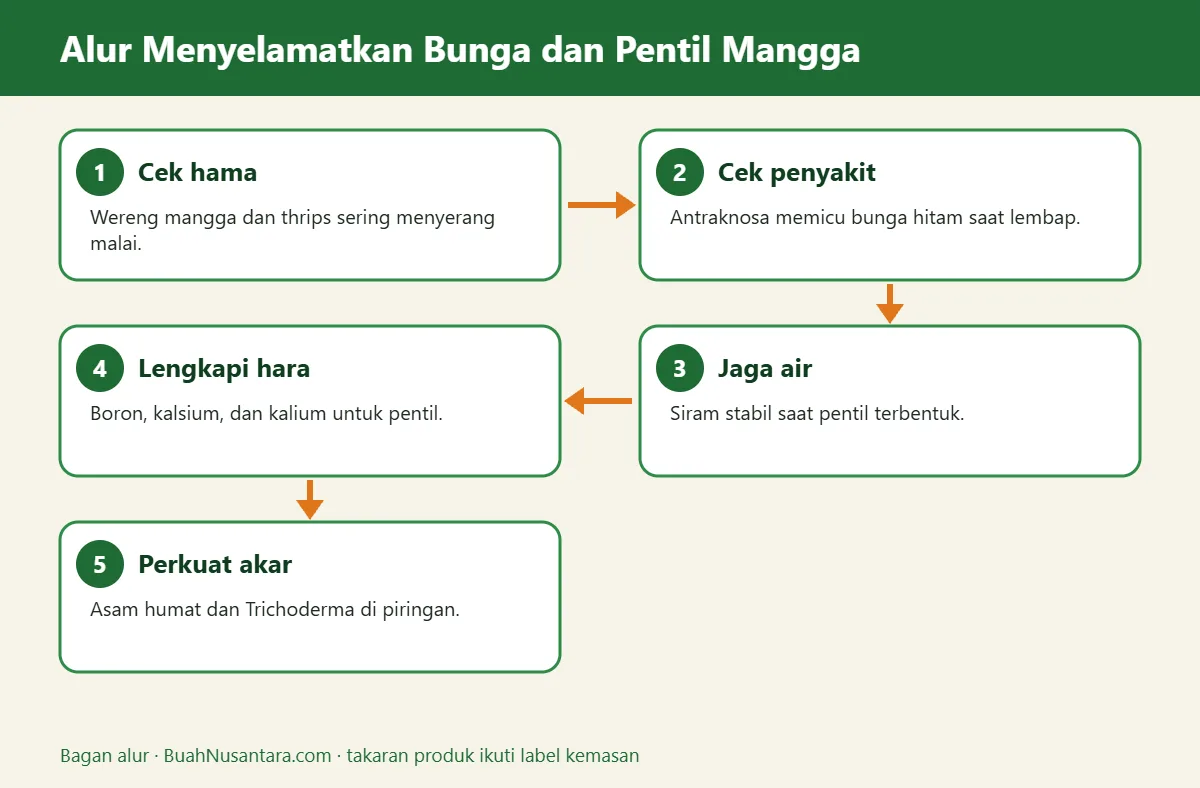 Bagan alur bunga mangga rontok