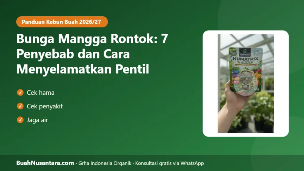 Bunga mangga rontok