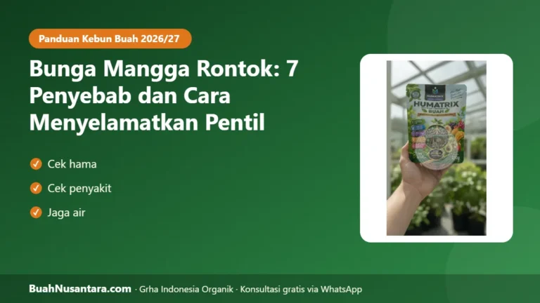 PENTIL Mangga Berguguran? 7 Penyebab Bunga Mangga Rontok dan Cara Menyelamatkannya