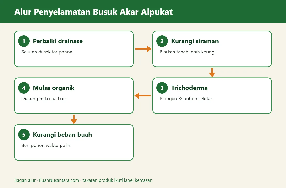 Bagan alur busuk akar alpukat