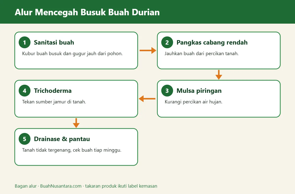Bagan alur busuk buah durian