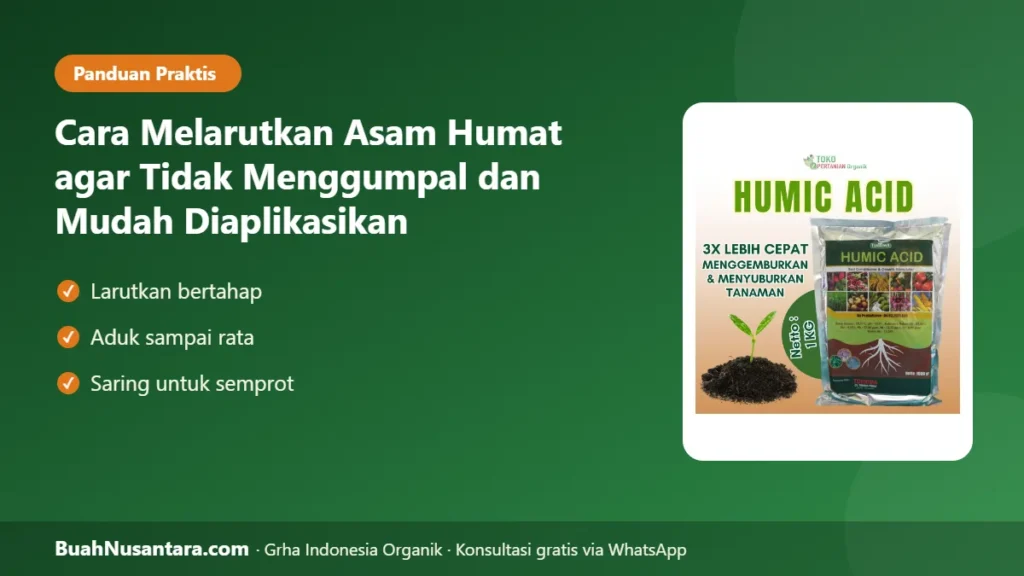 Cara melarutkan asam humat
