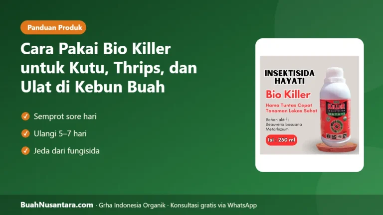 SALAH Pakai Hama Tak Mati! Cara Pakai Bio Killer untuk Kutu, Thrips, dan Ulat di Kebun Buah
