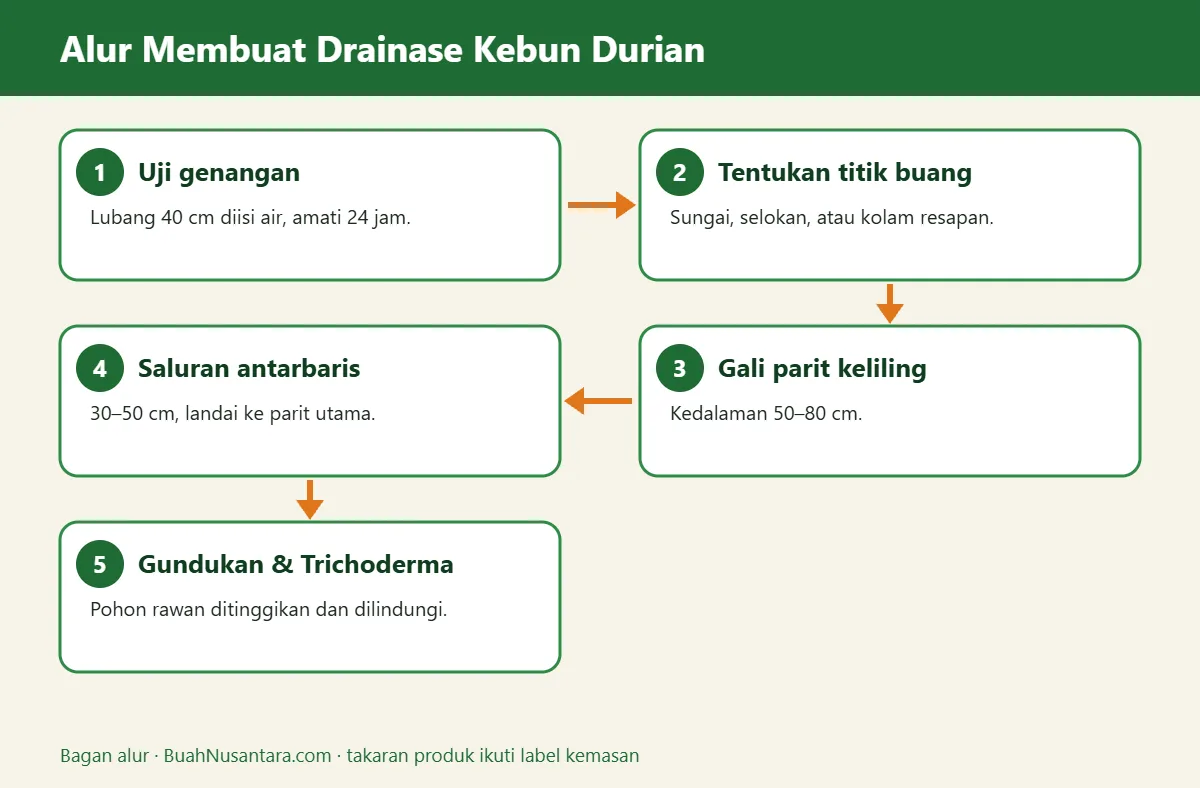 Bagan alur drainase kebun durian