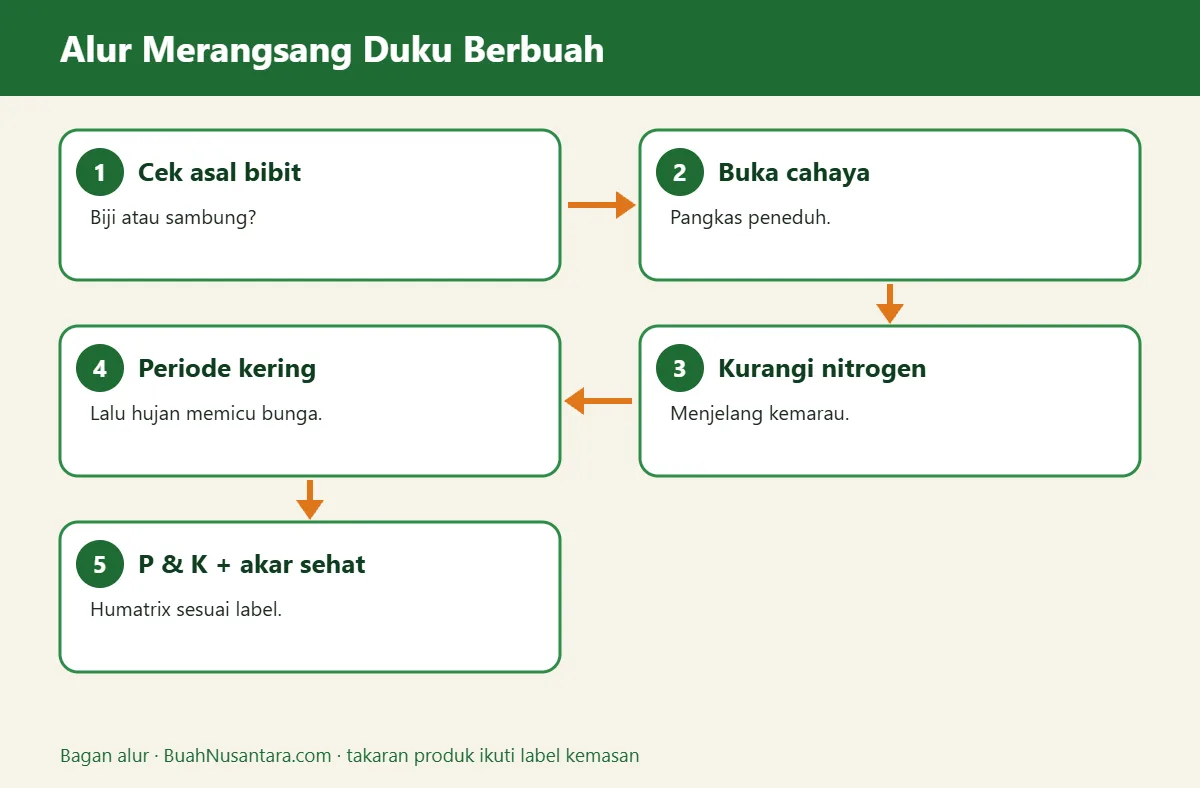 Bagan alur duku tidak berbuah